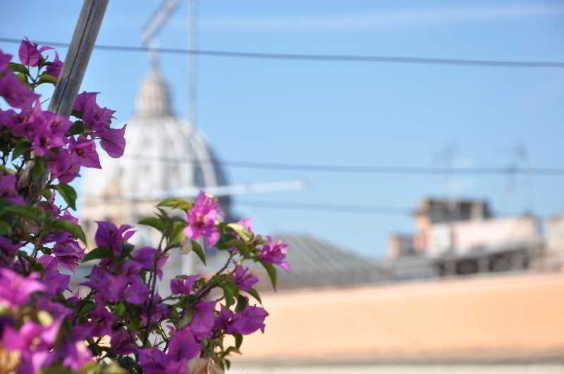 Le Suite Di Via Ottaviano - Suite In Rome B&B Dış mekan fotoğraf
